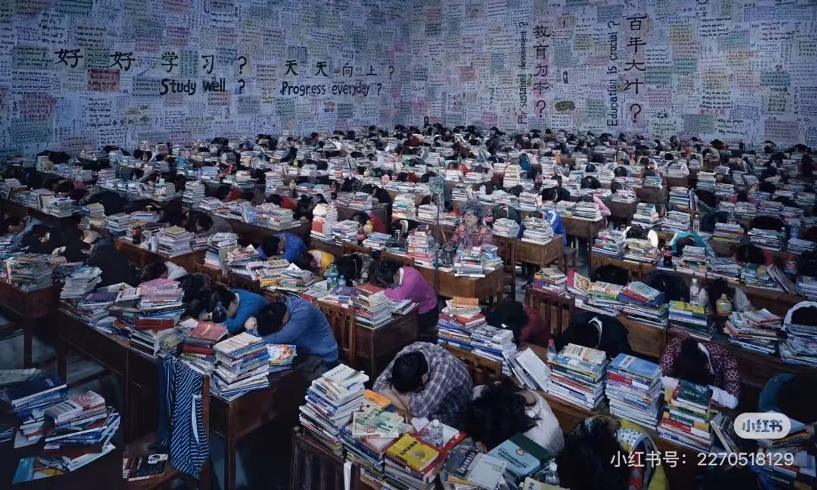 《跟你学》，2013