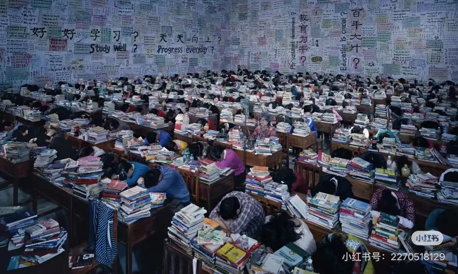 《跟你学》,2013