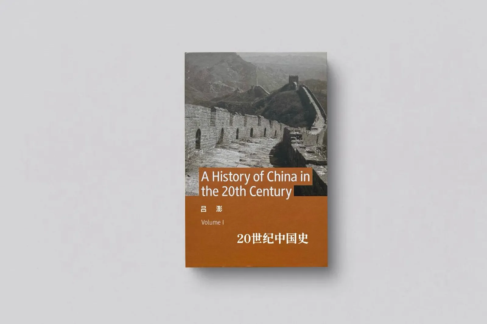 《20世纪中国史》